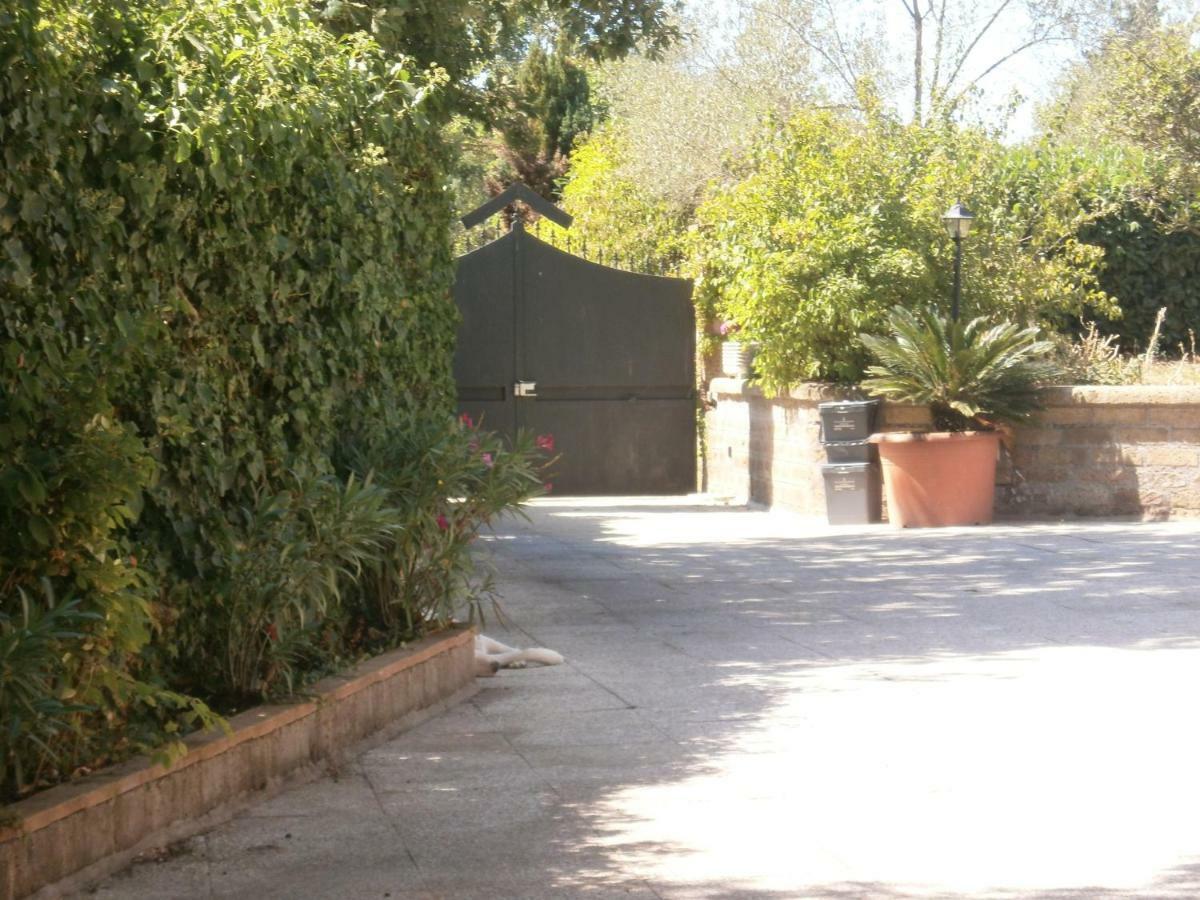 Villa Rosalba Camere Barbarano Romano Eksteriør billede